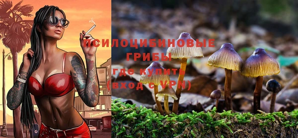 меф Заводоуковск